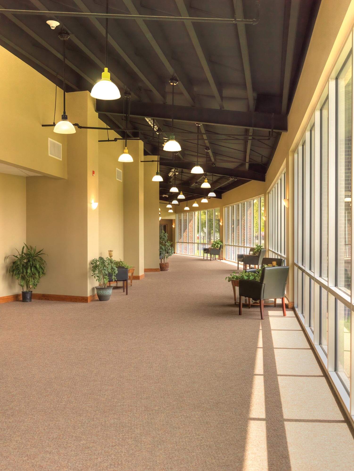 Sunlit corridor with floor-to-ceiling windows, black steel truss ceiling, carpet and seating areas